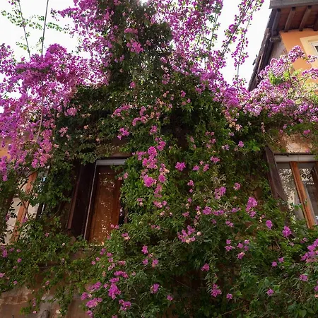 Апартаменты Historic By Campo De Fiori *