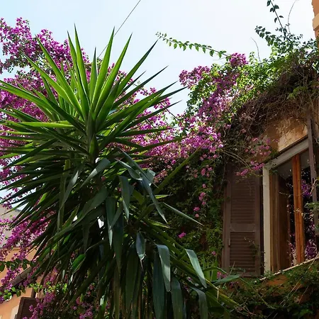 Historic By Campo De Fiori