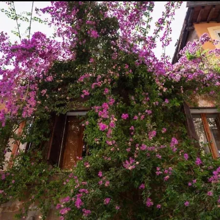 Apartment Historic By Campo De Fiori Rom